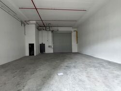 Ct Foodnex (D25), Factory #523106711